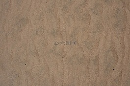 沙,海滩,风