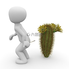 仙人掌,蜇,荊棘