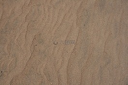 沙,海滩,风