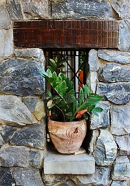 花园角落,墙,石