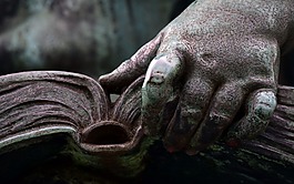 本書,讀取,手