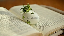 復(fù)活節(jié),復(fù)活,圣經(jīng) 》