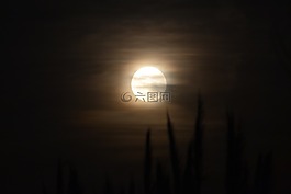 月亮,夜,夜景景观