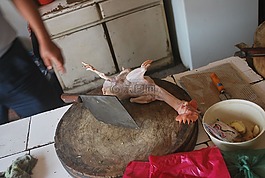 鸡,印章,克利弗