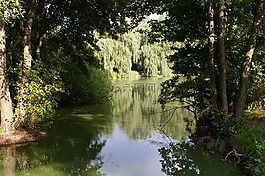 漁湖,佩克,性質(zhì)