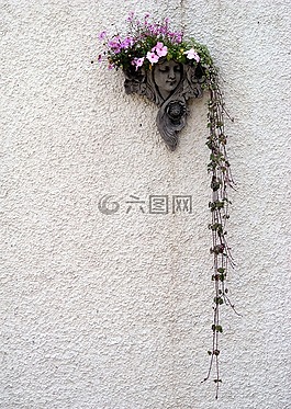 墙,鲜花,植物
