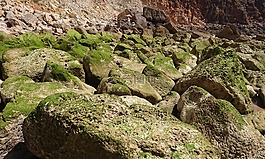 石頭,性質(zhì),海岸
