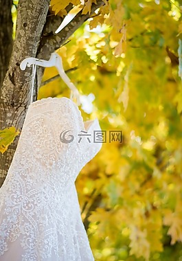 婚禮,連衣裙,婚紗禮服
