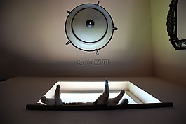 貓,睡眠,動(dòng)物