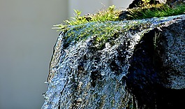 水,噴泉,水景