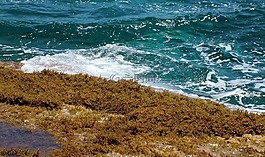 海,波,藍(lán)色