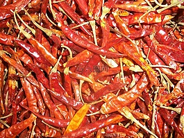 辣椒,干,食品