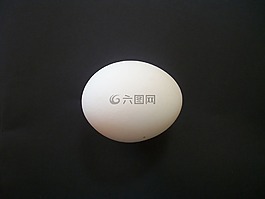 雞蛋,孤立,白