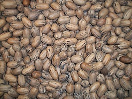 堅(jiān)果,棕色,小吃