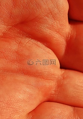 手,皮膚,人的