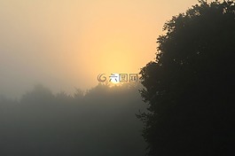 日出,上午,薄霧