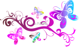 蝴蝶,丰富多彩,装饰