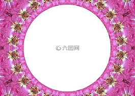 幀,白,空間