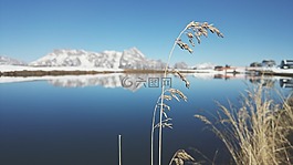 冬天,湖,山