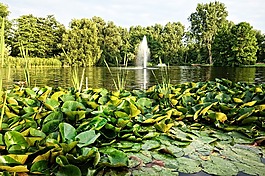 噴泉,池,開