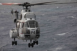 美洲獅,直升機,usn