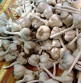 大蒜,香料,成分