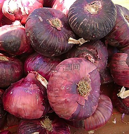 蔥,紅色,蔬菜