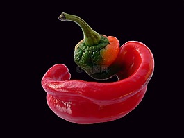 胡椒,蔬菜,新鮮