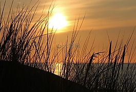 abensonne,假期,浪漫