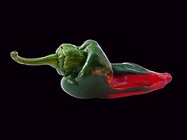 胡椒,蔬菜,紅色