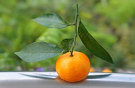 食品,水果,橘子