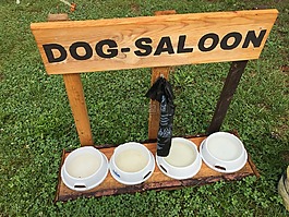 狗,動(dòng)物,寵物