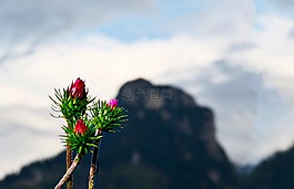 薊,山,p