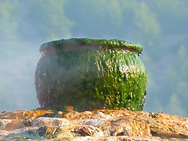 鍋,大鍋,綠色