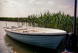 船,湖,綠色