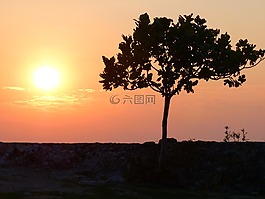 日落,abendstimmung,太陽