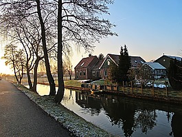 荷蘭,日出,景觀