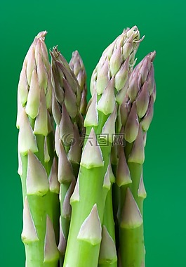食欲,蘆筍,食品