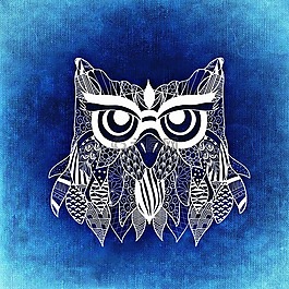 貓頭鷹,鳥,抽象