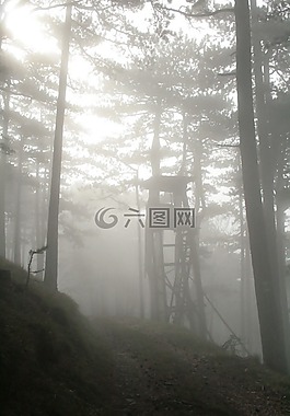 狩獵,喜悅,河鱸