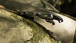 捷豹,車,會(huì)徽