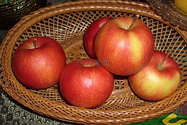 蘋果,籃,水果