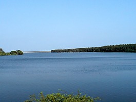 湖,水,海