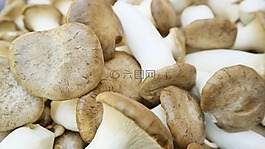 蘑菇,蔬菜