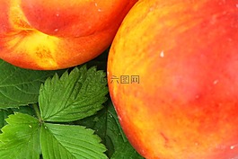 食品,新鮮,水果