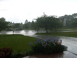 雨,淋浴,水