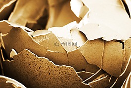 鳥,破碎,棕色