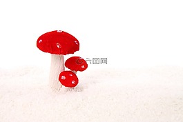 慶典,圣誕節(jié),裝修