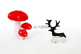 金屬,蘑菇,慶典