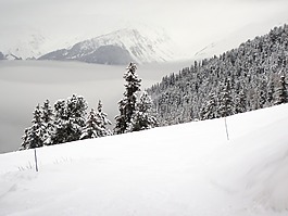高山,阿爾卑斯山,冷